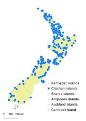 Pneumatopteris pennigera distribution map based on databased records at AK, CHR and WELT. 
 Image: K. Boardman © Landcare Research 2015 CC BY 3.0 NZ